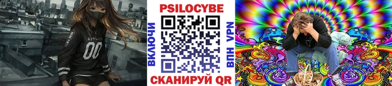 наркошоп  Темрюк  Псилоцибиновые грибы Psilocybe 